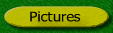 Pictures